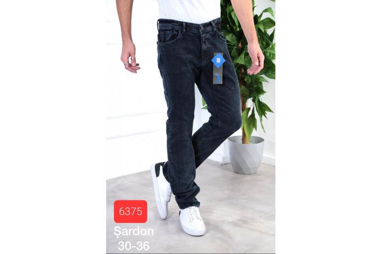 Джинси чоловічі 6375 REDMAN JEANS REGULAR Туреччина